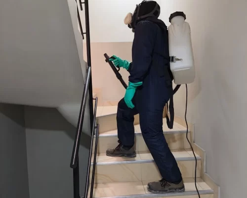 Desinfección de ambientes