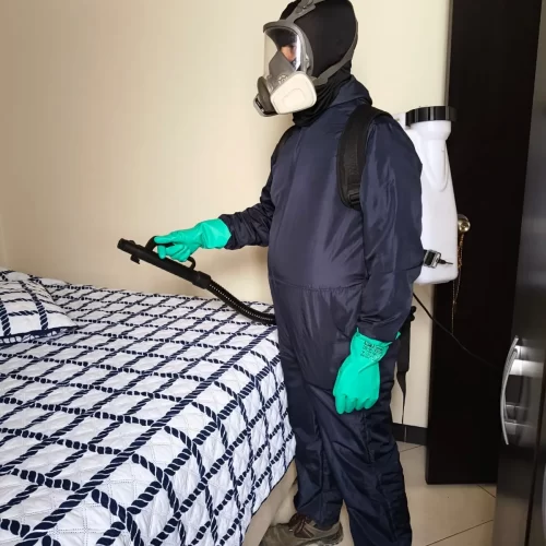 Desinfección de virus, bacterias