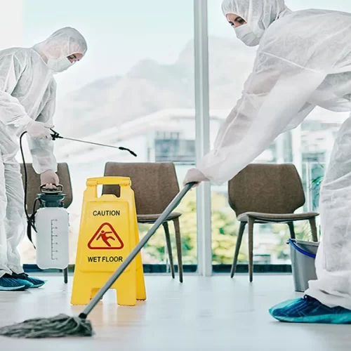 plagstopfumigaciones_22